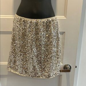 Sparkling Sequin Mini Skirt